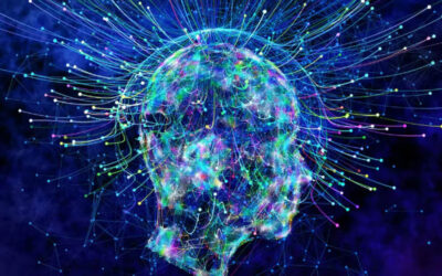 „Bewusstsein erschafft Realität“ – ist dies eine genaue Interpretation dessen, was die Quantenmechanik offenbart?
