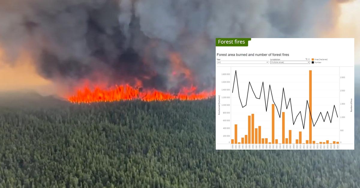 Kanadische Waldbrände werden auf den Klimawandel zurückgeführt – doch die Zahl der Brände befindet sich auf einem historischen Tiefstand